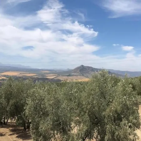 Restored Mill On A Property In Algarinejo In Granada